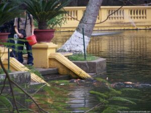 Ho Chi Minh Stilt House Gardens & Fishpond (8)